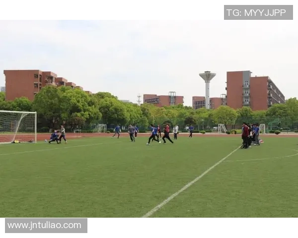 北京飞盘队个人能力分析与提升策略探讨