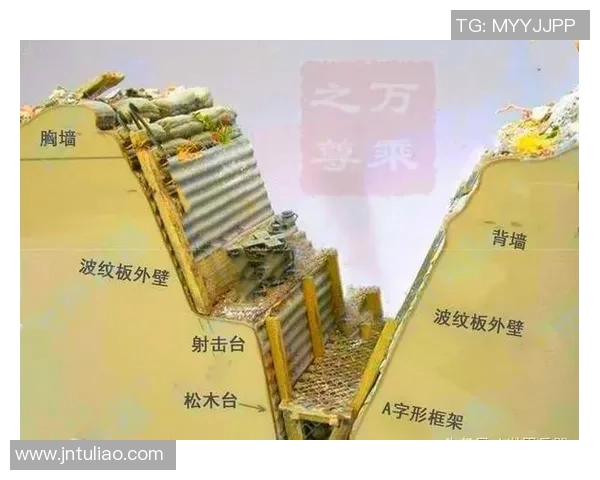 成都排球队防反战术解析与实战应用探讨 成都排球队防反战术解析与实战应用探讨