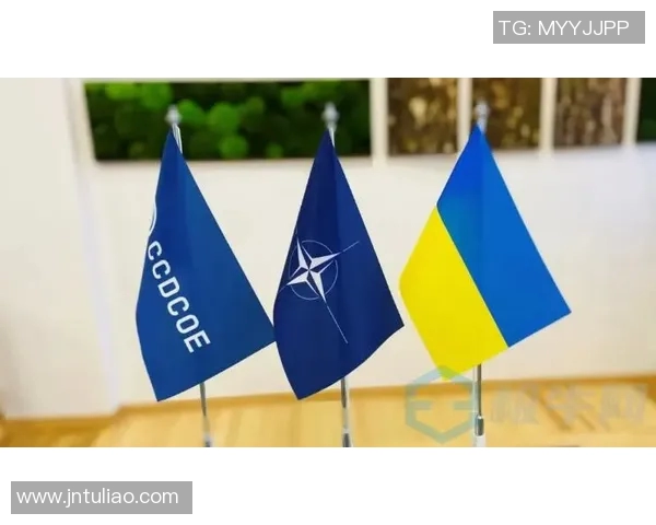 西安排球队技术表现的深度数据分析与战术探讨