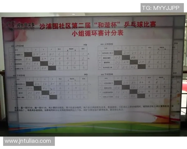 吴丽独家分享乒乓球技巧与心得助你提升球技的秘密之道