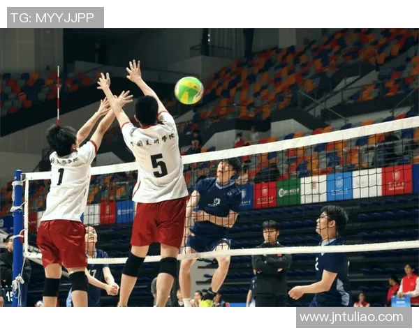 杭州排球队创历史新高耐力排名引发广泛关注与讨论